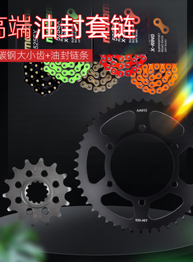 适用于川崎Versys异兽KLE300摩托车前后牙盘大小链轮油封链条套链