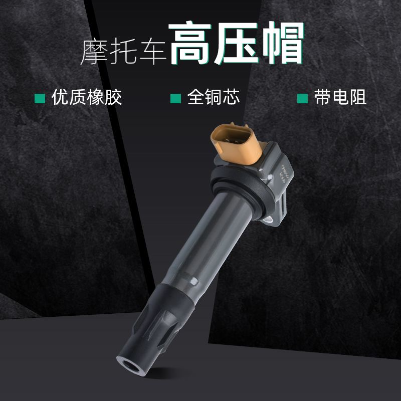 适用庞巴迪倒三轮蜘蛛侠Spyber RT RTS F3点火线圈 高压包 高压帽