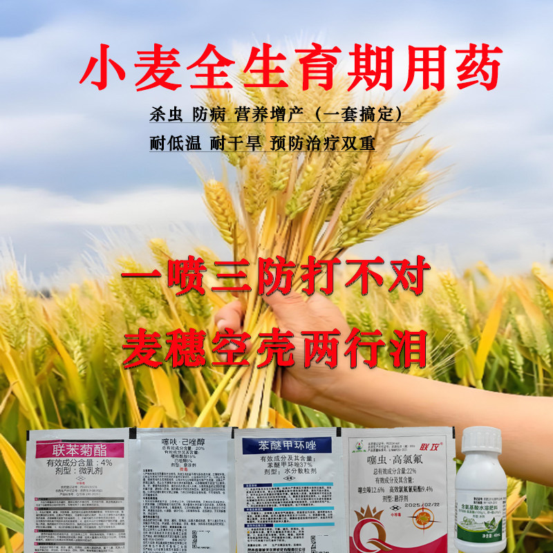 小麦专用药防病杀虫增产图片