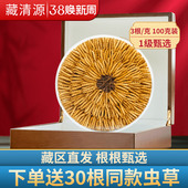 干货旗舰店300根滋补营养礼盒装 头期冬虫夏草3根 克100克虫草正品