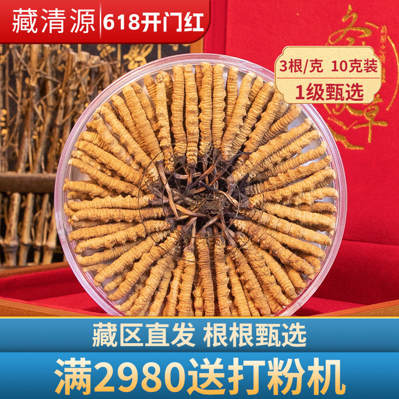藏清源虫草正品3条/克10克30条礼盒装冬虫夏草干货旗舰店无断草