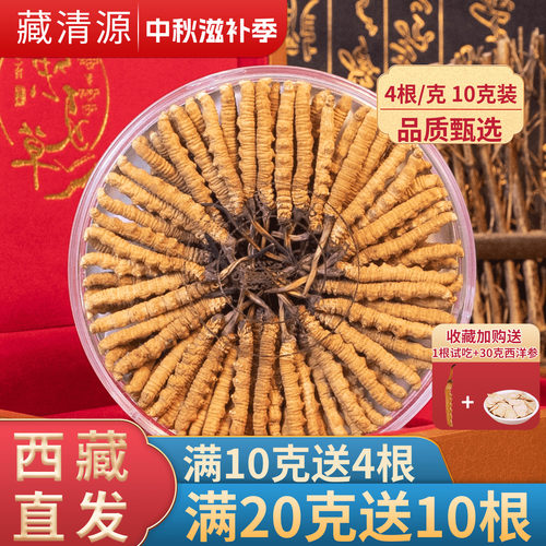 2026新干正品冬虫夏草西藏直发