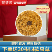 干货旗舰店300根年货节礼盒装 头期冬虫夏草3根 克100克虫草正品