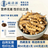 藏清源冬虫夏草官方旗舰店正品 50克大号断草 10克头期干断草实惠装