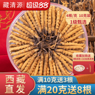 藏清源冬虫夏草官方旗舰店正品 克10克头期虫草礼盒50克 干货4根