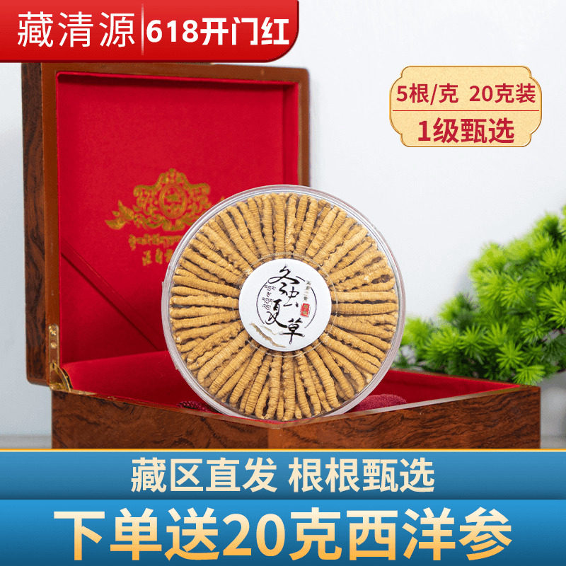 藏清源头期冬虫夏草干货正品4根/克20克装冬虫草旗舰店礼盒装