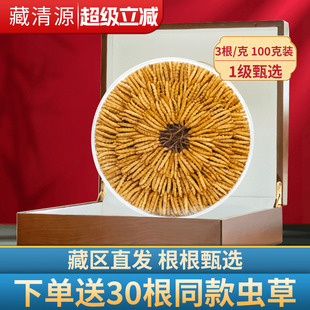干货旗舰店300根滋补营养礼盒装 克100克虫草正品 头期冬虫夏草3根
