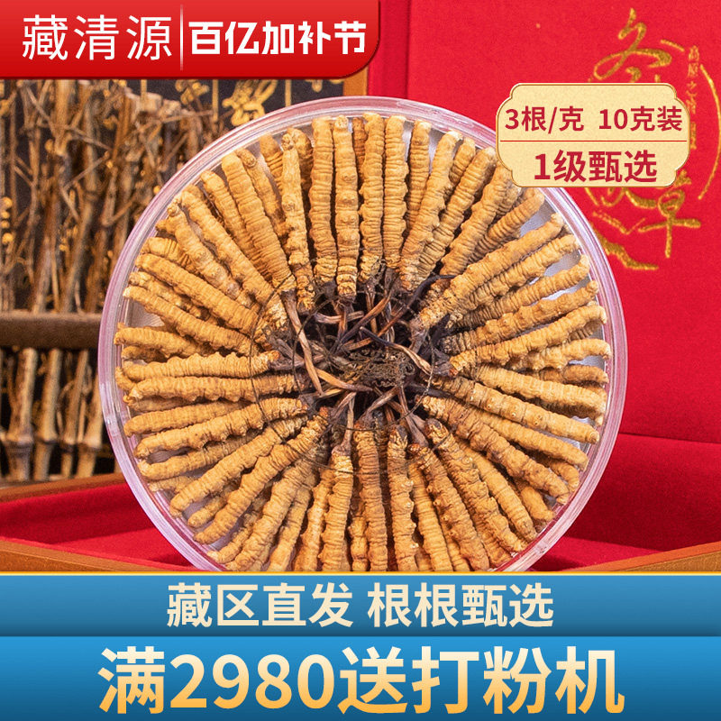 藏清源虫草正品3条/克10克30条礼盒装冬虫夏草干货旗舰店无断草
