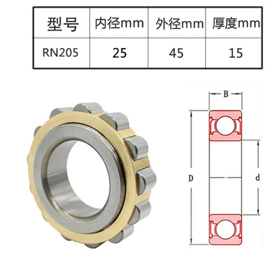 摆线针轮减速机偏心套轴承RN204 205 206 307 309 312 M 带偏心轴