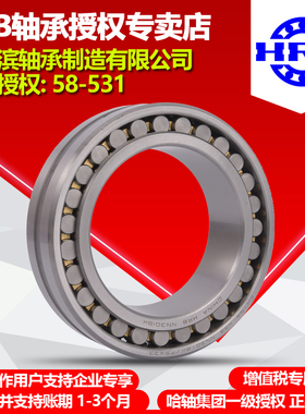 HRB NN 3021 3022 K/P5/P4 W33 哈尔滨双排圆柱滚子机床主轴轴承