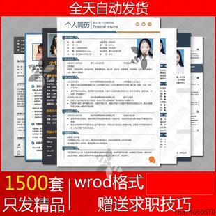 简历模板个人求职 锤子简历空白模板100chui 500丁五百丁全民简历