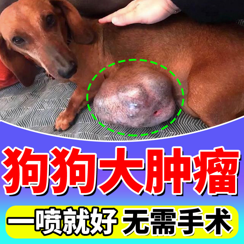 狗狗脂肪瘤一抹消不手术不反复