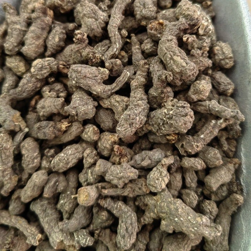 天葵子 千年老鼠屎 紫背 天奎子 天葵根 中药材天葵子 500克/份