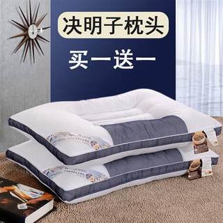 决明子枕头护颈椎助睡眠双人防螨虫珍珠棉枕头芯家用单人枕芯一对