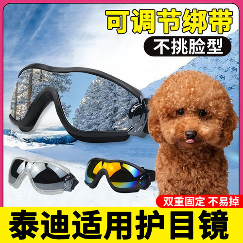 泰迪专用狗狗护目镜宠物配饰小狗墨镜防风眼镜小型犬太阳镜防风镜