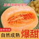 海南哈密瓜海南哈密瓜正宗薄皮冰淇淋特产