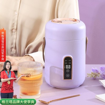 陶晶电炖锅家用煮粥多功能煲汤熬粥宝宝辅食迷你小型便携式电煮锅