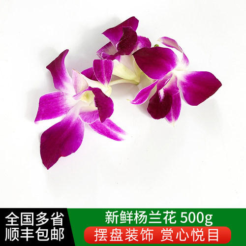 新鲜洋兰花500g杨兰花马兰花酒店饭店西餐点缀摆盘装饰鲜花朵包邮