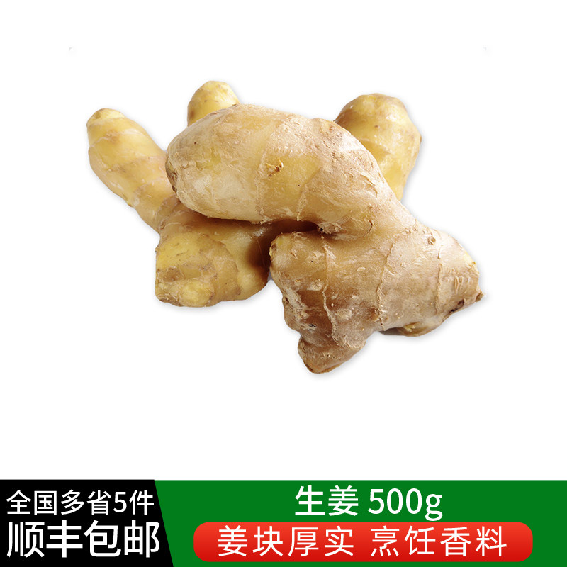 生姜500g 新鲜蔬菜调味料大黄姜老姜干姜块月子姜 5件包邮