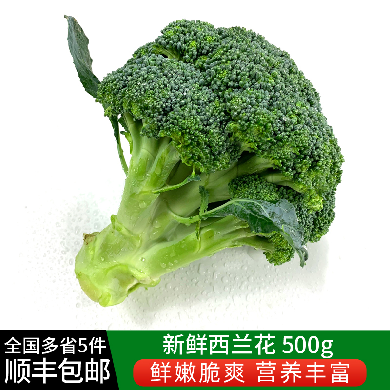 新鲜西兰花500g脆嫩青花菜绿花菜西蓝花椰菜时令蔬菜5件顺丰包邮