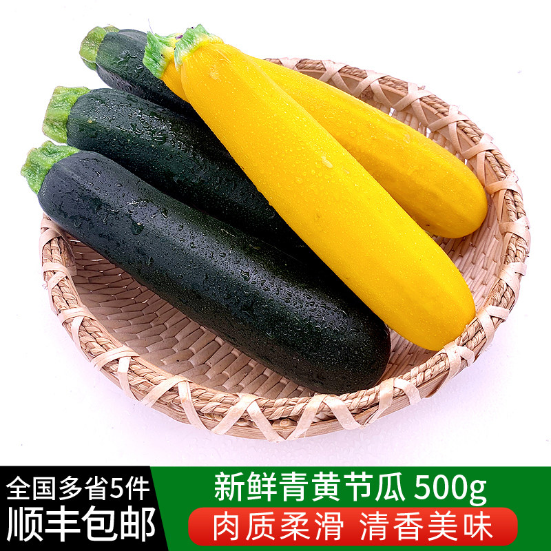 青黄西葫芦500g 青黄节瓜西餐炒菜煲汤新鲜蔬菜 全国多省5件包邮