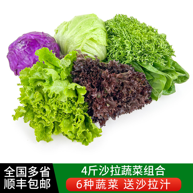 蔬菜沙拉套餐4斤 新鲜混合蔬果生菜色拉沙拉食材健身轻食套餐沙拉