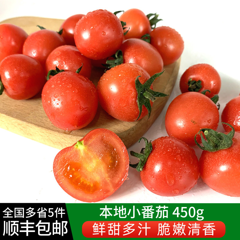 绿食者 上海本地小番茄450g番茄