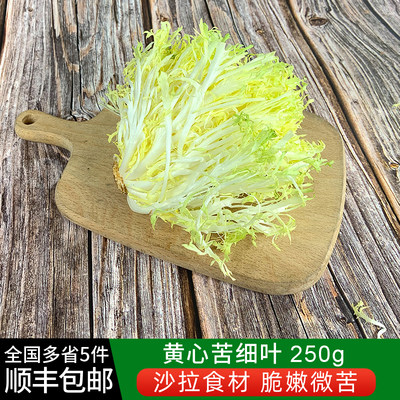 新鲜黄心苦菊250g 苦叶生菜苦苣九芽狗牙生菜苦细叶沙拉蔬菜食材