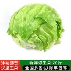 球生菜20斤 新鲜蔬菜沙拉食材西餐汉堡用圆生菜球型西生菜包邮