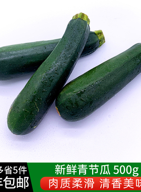 绿食者 青节瓜500g 新鲜蔬菜青西葫芦绿色茄瓜 全国多省5件包邮