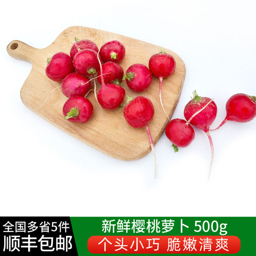 500g沙拉食材5件顺丰小红萝卜