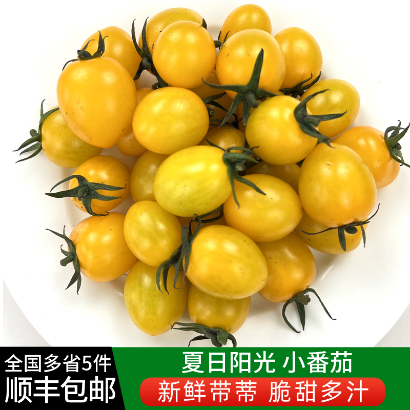 黄色小番茄绿食者新鲜水果蔬菜