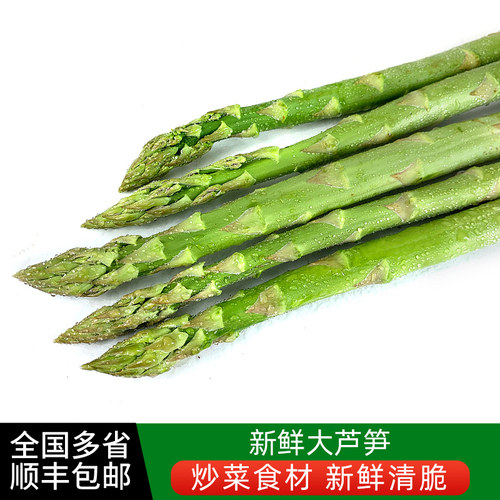 新鲜大芦笋农家现摘新鲜蔬菜绿芦笋青芦笋炒菜凉拌菜食材龙须菜