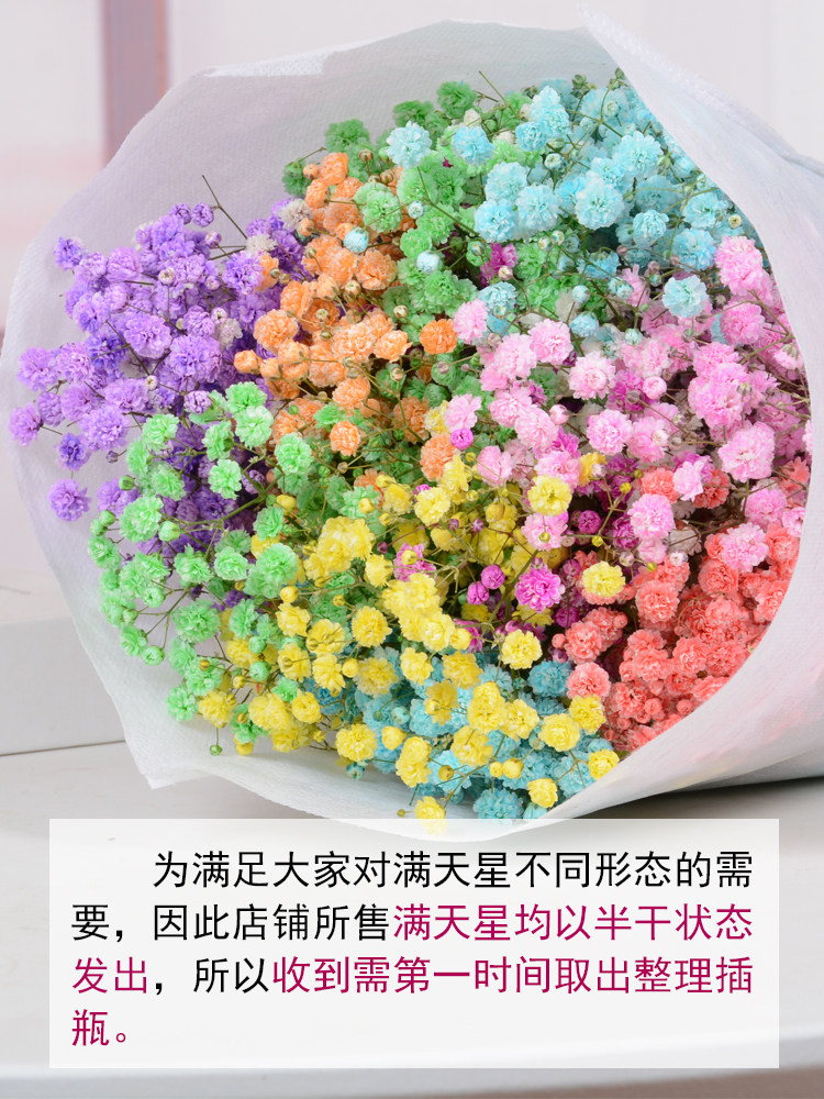 花瓶满天星干花花束鲜花真花客厅天然装饰摆设卧室摆件家居插花