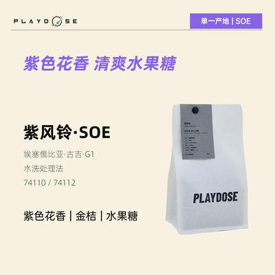 埃塞古吉产区G1水洗咖啡豆