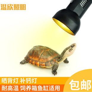 乌龟晒背灯陆龟水龟爬虫蜥蜴两栖动物宠物箱全光谱万向灯夹灯灯罩