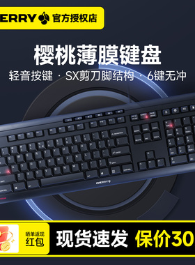 樱桃（CHERRY）STREAM有线键盘轻音办公商务家用磨砂质感十大功能