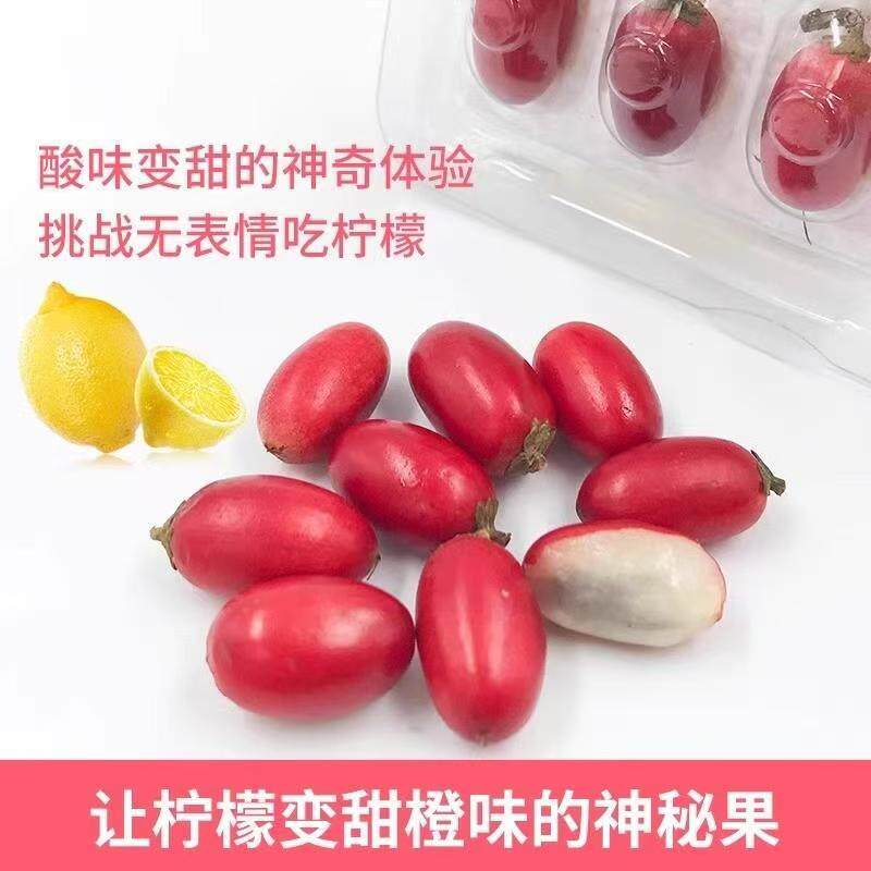 神秘果鲜果酸变甜变味果 蜜拉圣果 神奇改变味觉果干 冻干