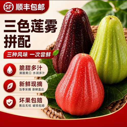 顺丰现摘三色莲雾拼配翡翠黑糖芭比黑金刚三拼一次尝鲜新鲜水果