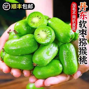 丹东软枣猕猴桃圆枣子新鲜水果东北软枣子小鲜果奇异莓果猕猴桃