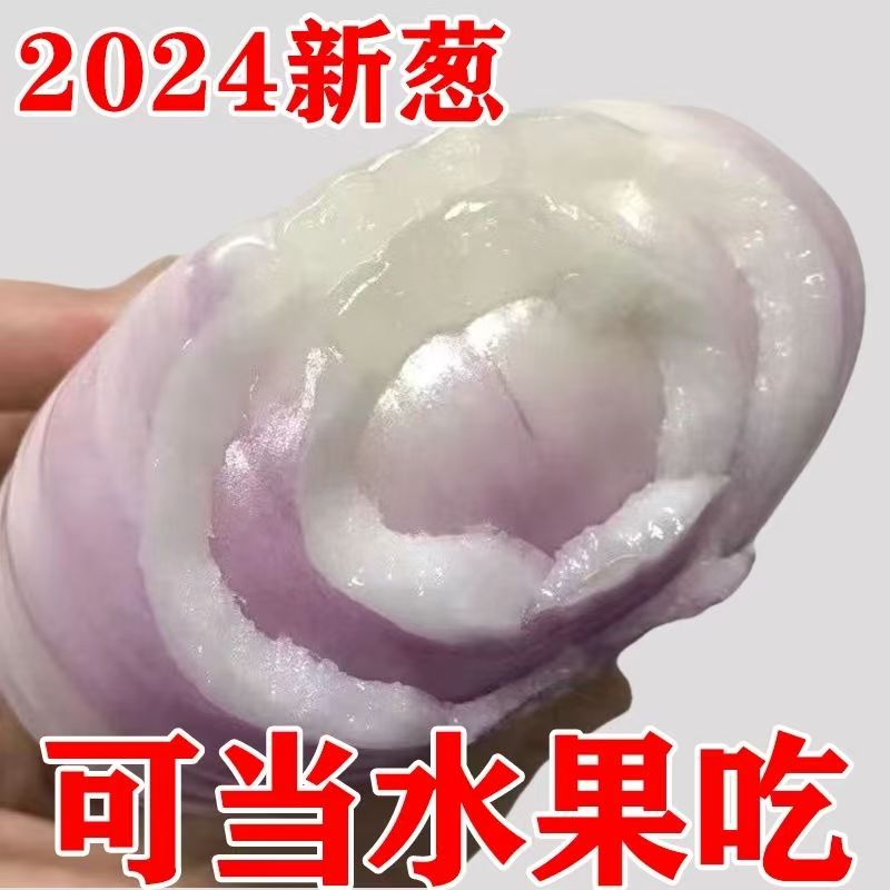 云南紫皮圆洋葱水果新鲜