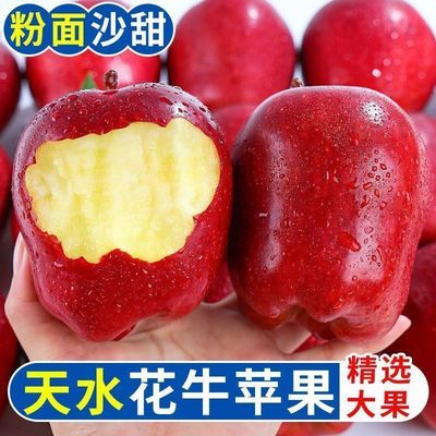 正宗甘肃天水花牛苹果10