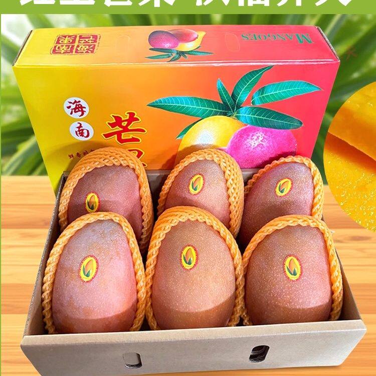 海南红玉芒玉文芒三亚现摘现发红金玉特大芒果新鲜水果非青澳芒
