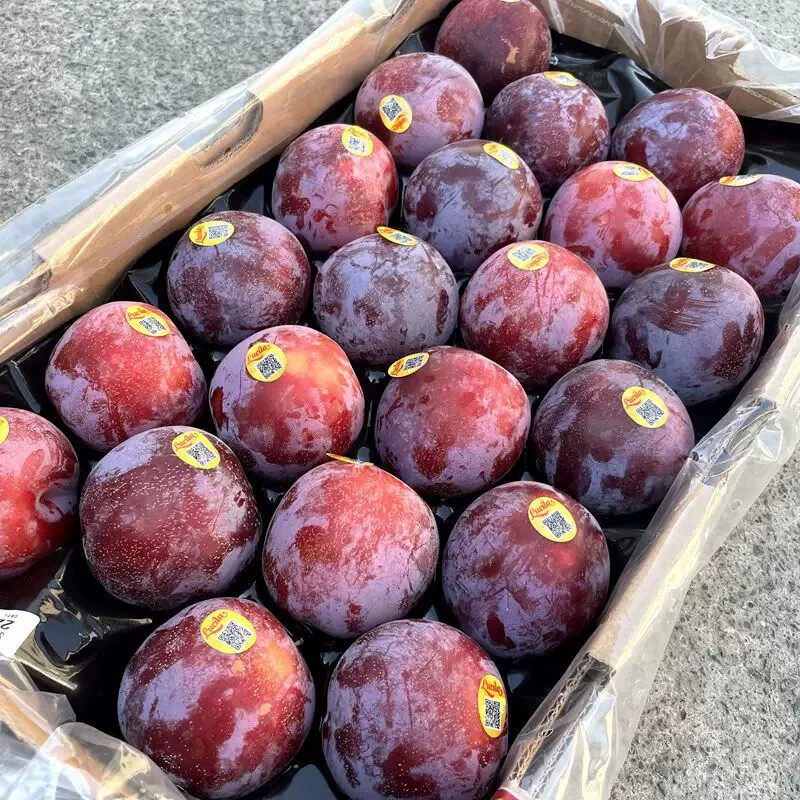 进口智利品种紫蜜李 恐龙蛋超脆甜凤凰李 血丝黄肉李子李现货包邮