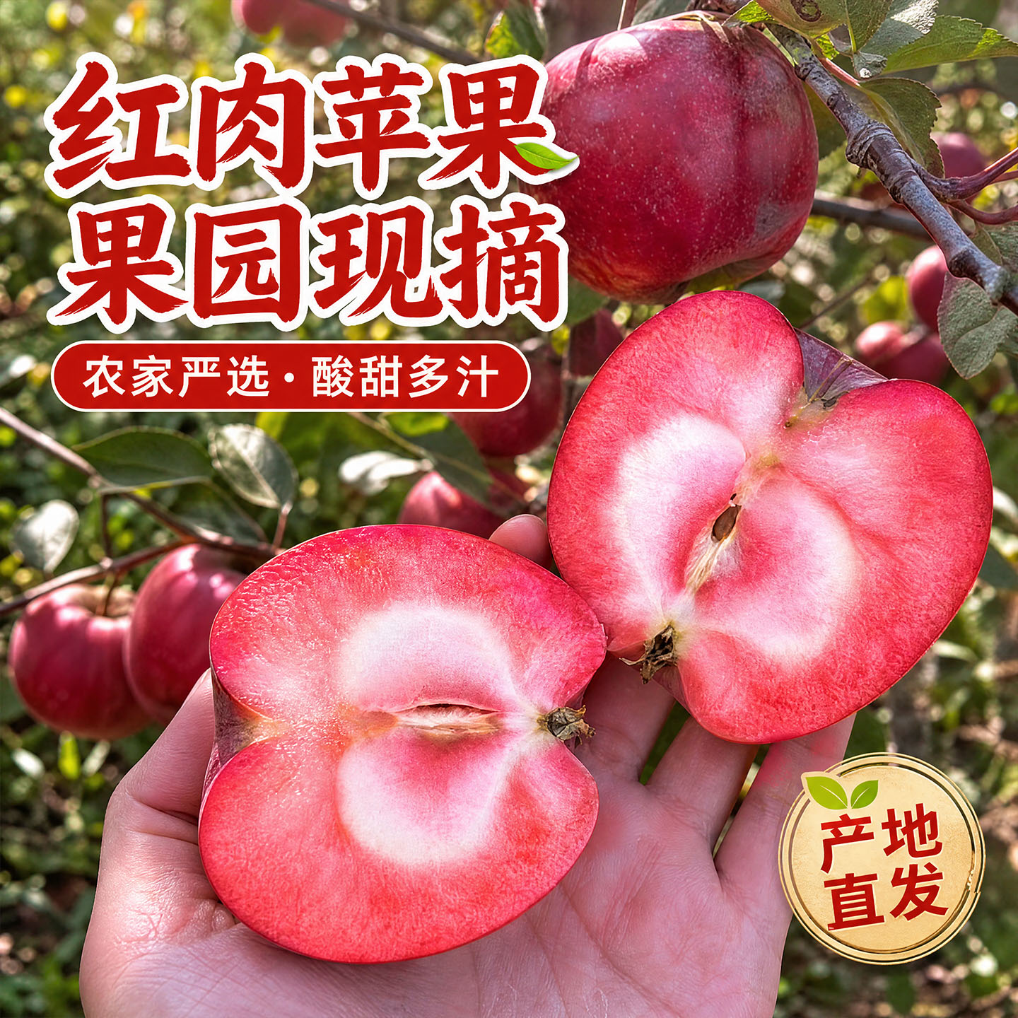 宁夏红肉冰糖心孕妇酸苹果新鲜大果整箱礼盒装红色挚爱应季水果