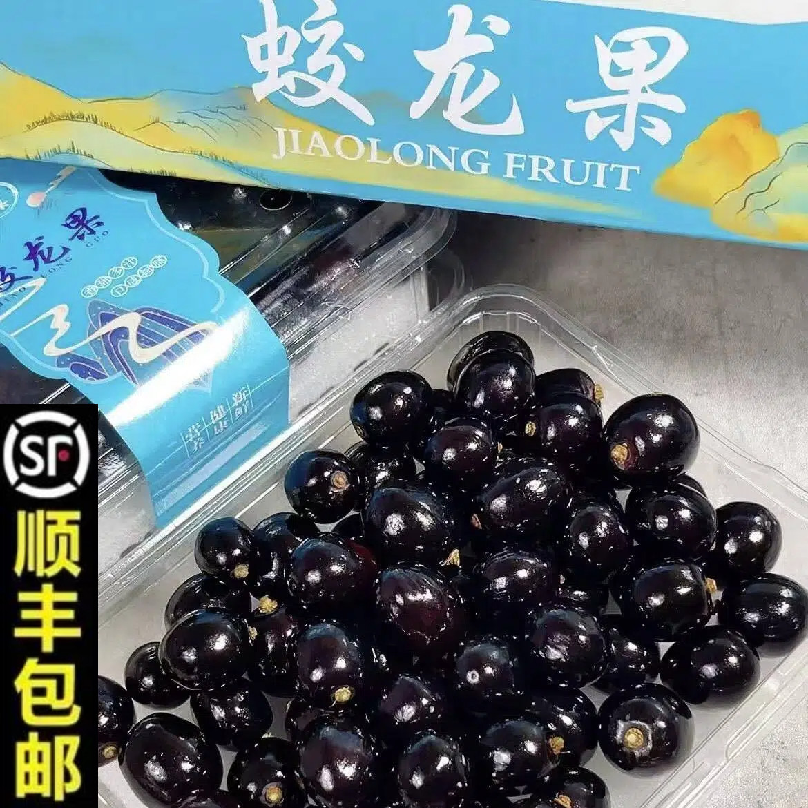 顺丰蛟龙果珍宝果非嘉宝果新鲜当季水果葡萄黑珍珠罕见稀有水果图片