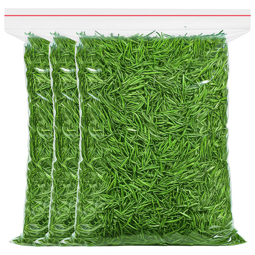 浓香型贵州雀舌茶春茶口粮茶500g