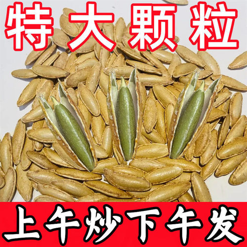 大颗粒美人甲南瓜子长粒焗盐味南瓜子椒盐瓜子炒货休闲零食年货礼