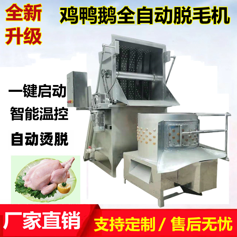 新款全自动杀鸡杀鸭打毛烫一体机