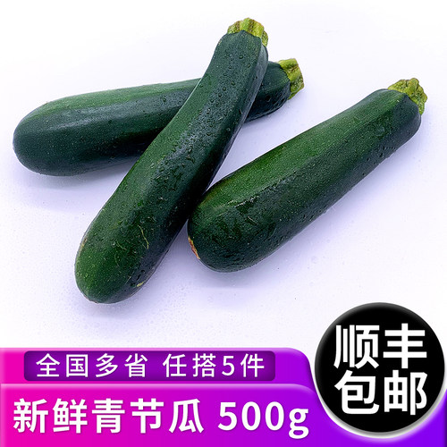 绿食者 青节瓜500g 新鲜蔬菜青西葫芦绿色茄瓜 全国多省5件包邮